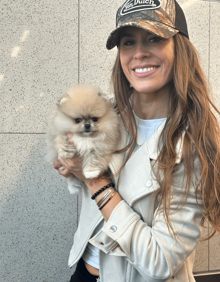 Saint - Micro Teacup Pomeranian