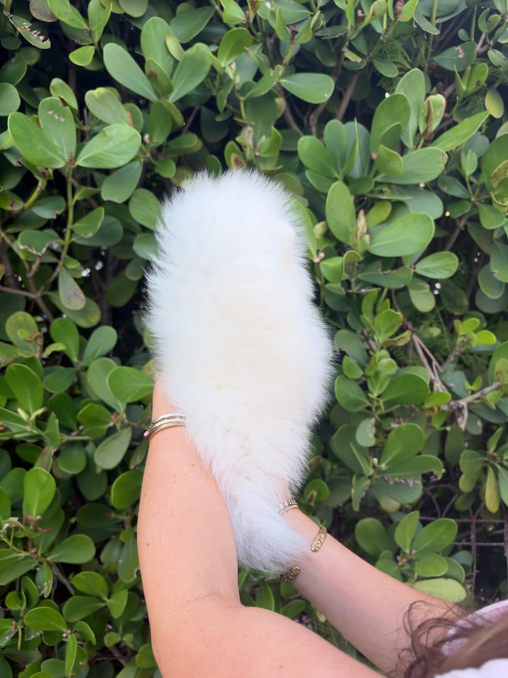Kiki - Photo 2