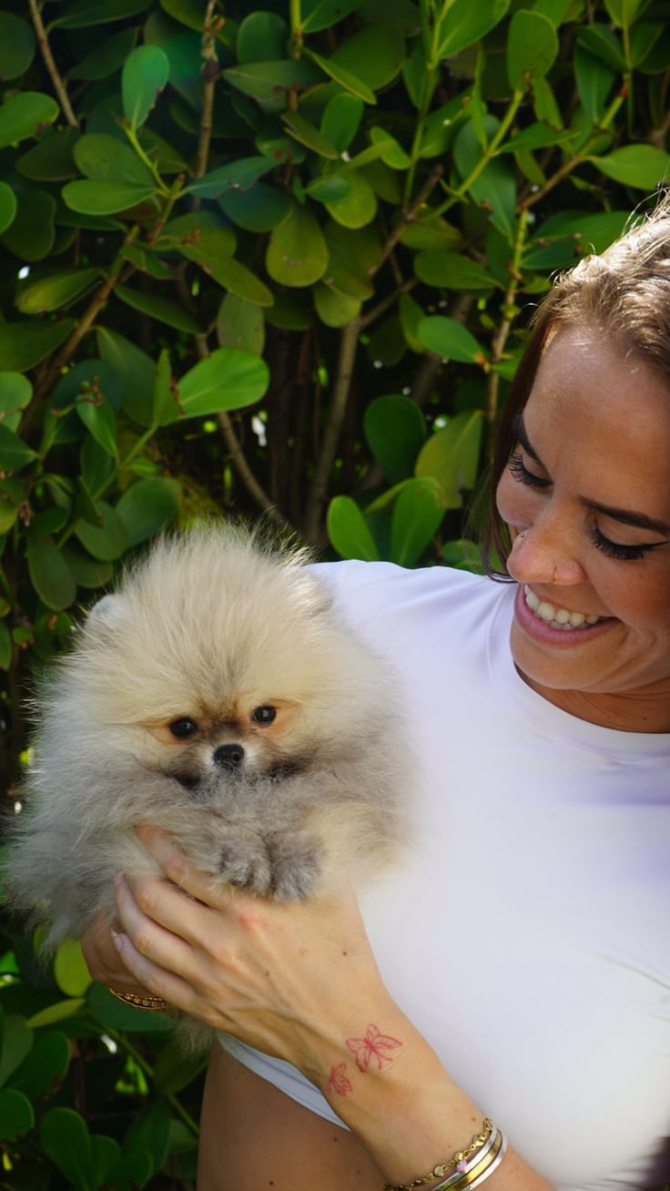 Kodi - Micro Teacup Pomeranian - Photo 4