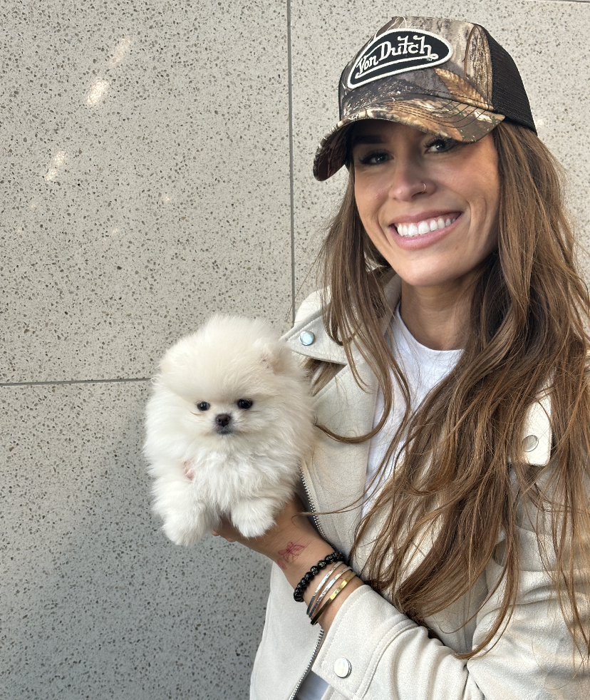 Kiwi - Adopted Micro Teacup Pomeranian Puppy from Platinum Pups of Miami