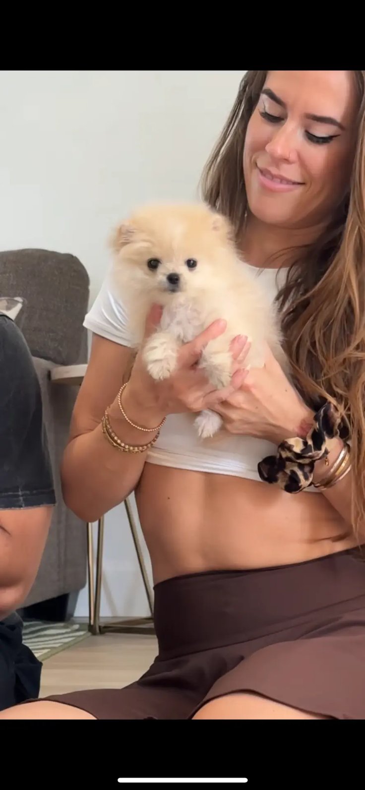 Peaches - Micro Teacup Pomeranian - Photo 6