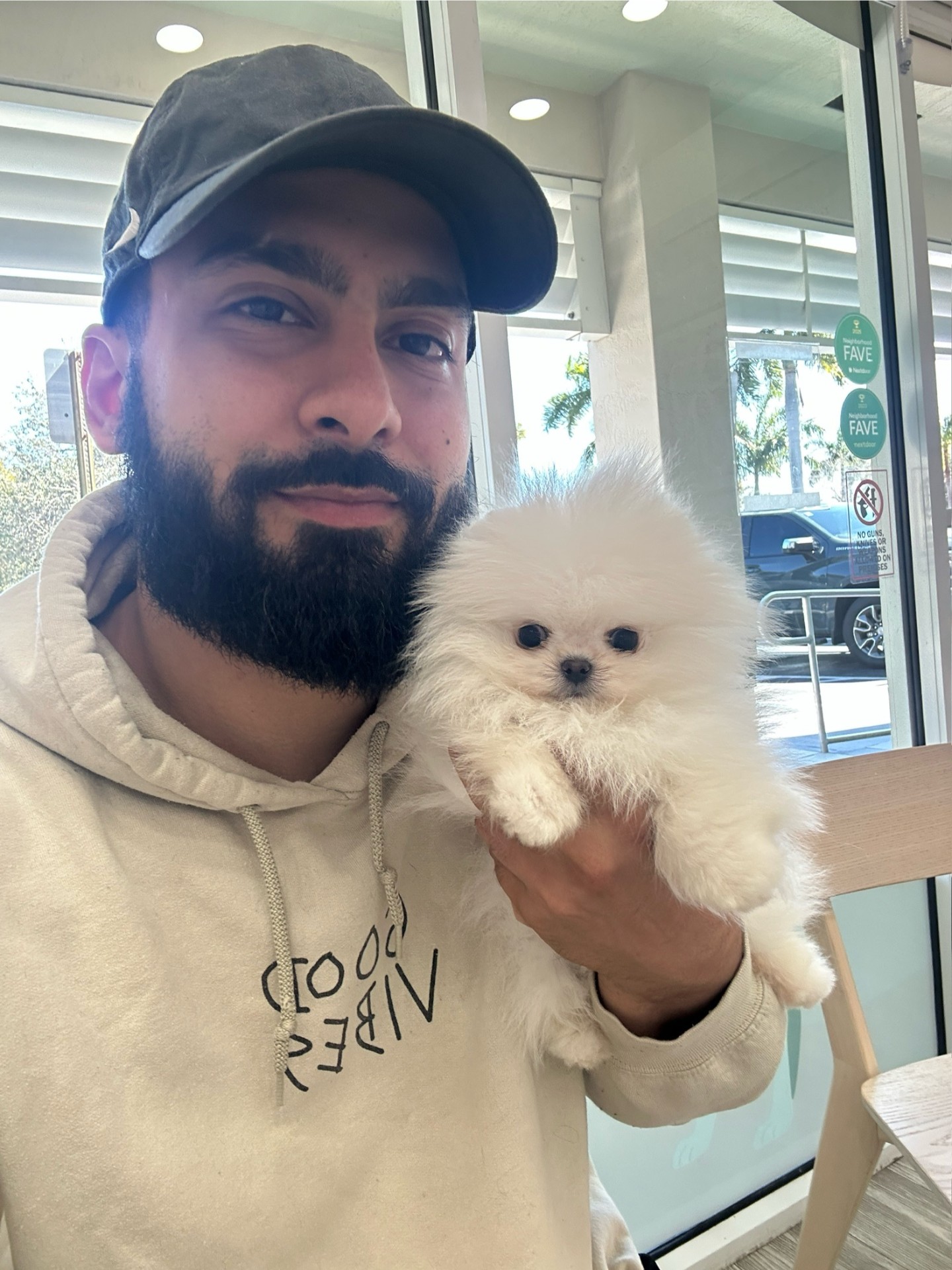 Rose - Micro Teacup Pomeranian Puppy For Sale from Platinum Pups of Miami